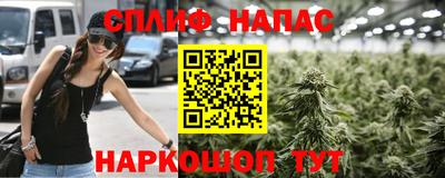 спайс Берёзовский