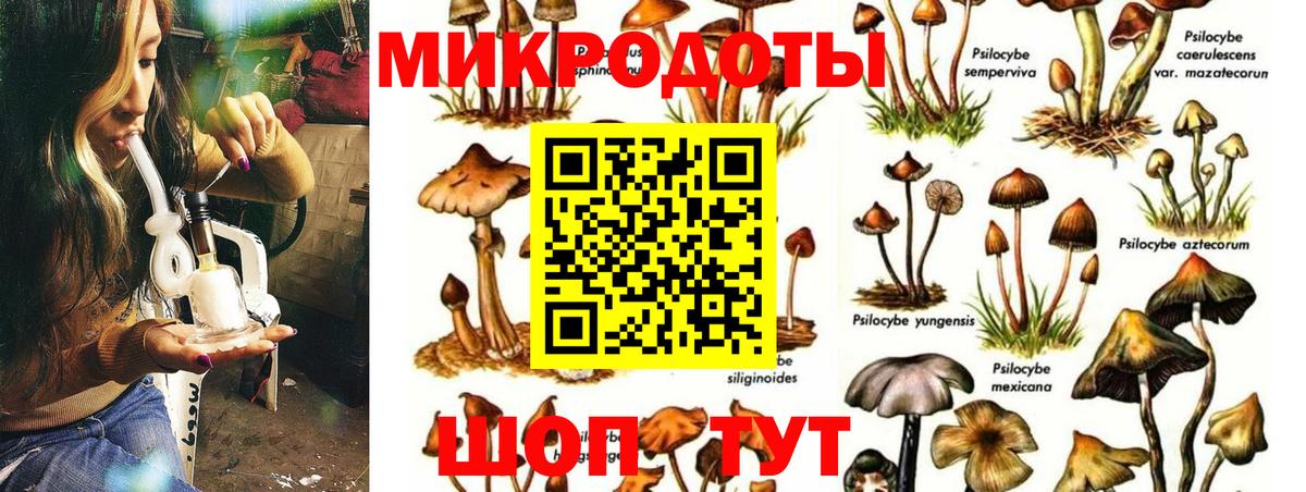 МЕФ Коломна